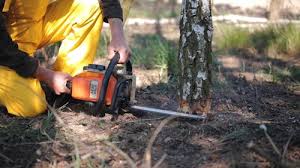 Best Lot and Land Clearing  in Poteet, TX